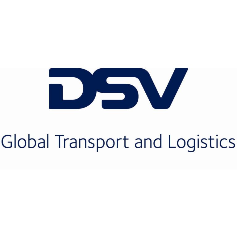 dsv_logo_jpeg__copy_1799
