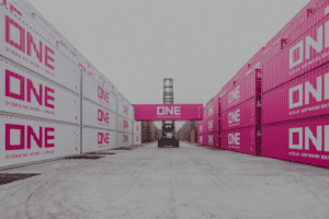 ONE ocean network express website