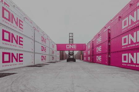 ONE ocean network express website