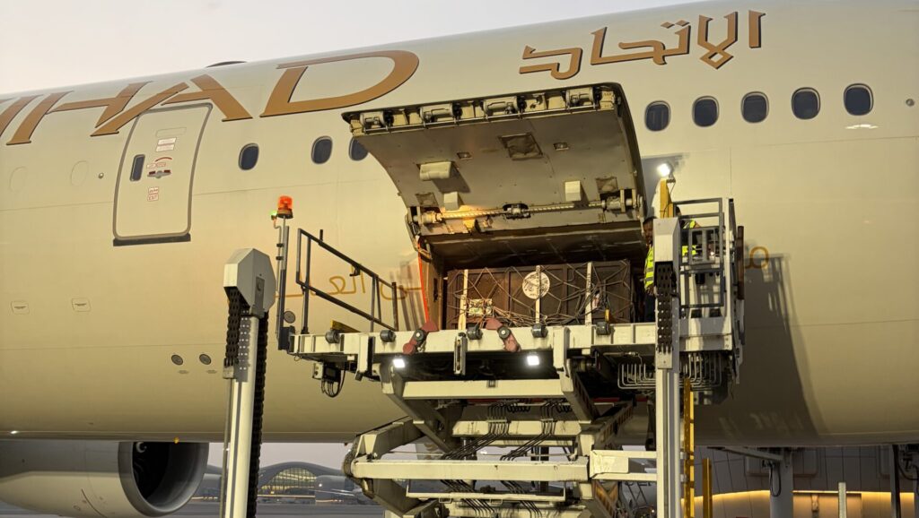 Bears being unloaded in Abu Dhabi logistics-buyer.com