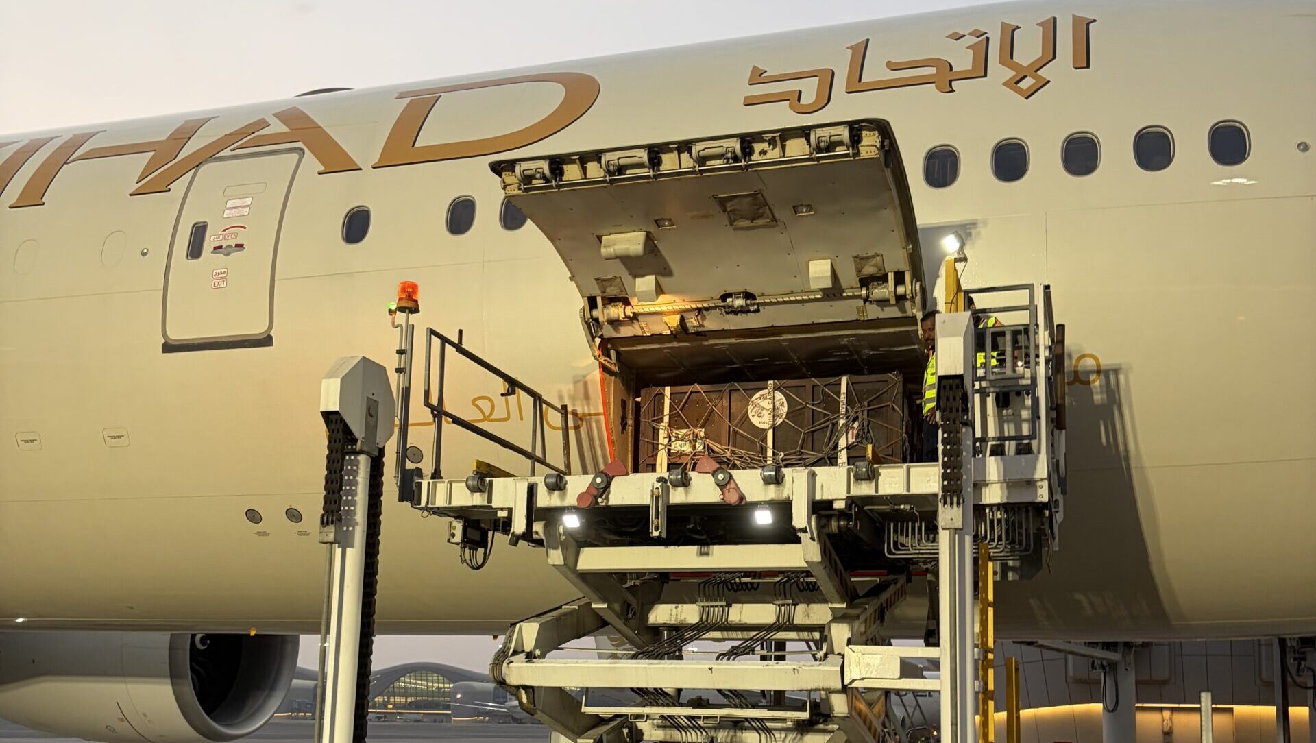 Bears being unloaded in Abu Dhabi logistics-buyer.com
